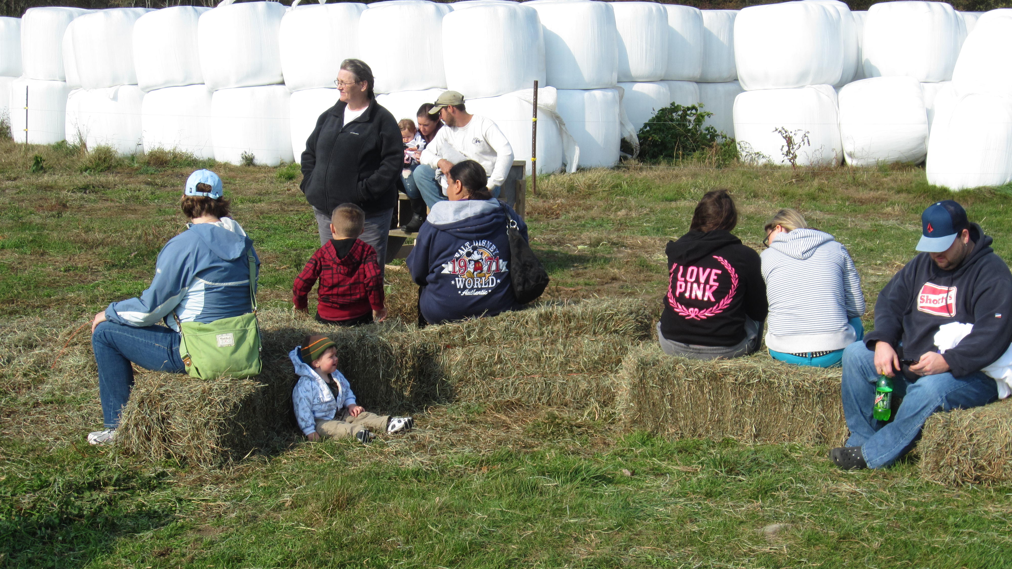 2012 Pumpkin Festival 033